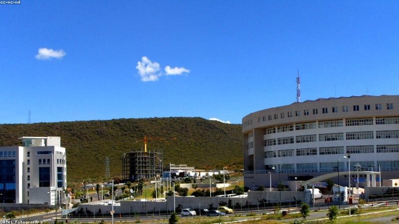 内容合规团队在大屏前分析网络内容风险数据